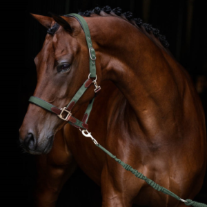 HANSBO ENIGMA GRØN