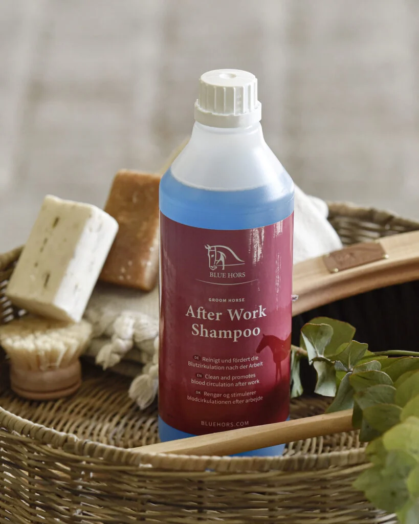 Blue Hors After Work Shampoo