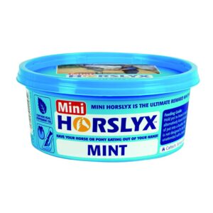 Horslyx Sliksten Mint 650 g