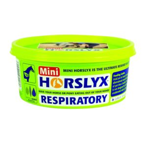 Horslyx Sliksten Respiratory 650g