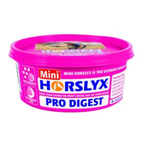 Horslyx Sliksten Pro Digest 650 g