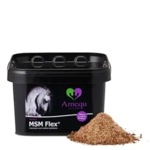 Amequ MSM Flex+