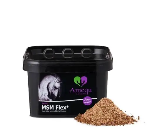 Amequ MSM Flex+